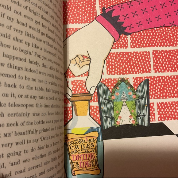 Alice’s Adventures in Wonderland & Through the Looking Glass - Illustrated - Picture 11 of 14